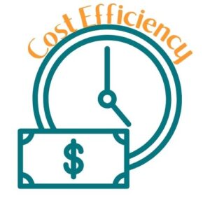 Cost Efficiency